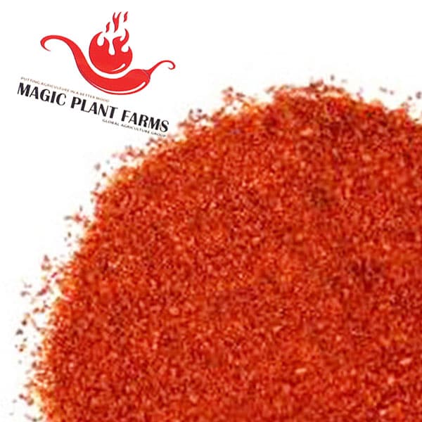 Jalapeno Powder | Jalapeno Chili Pepper