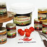 Variety of Pepper Paste and Mash